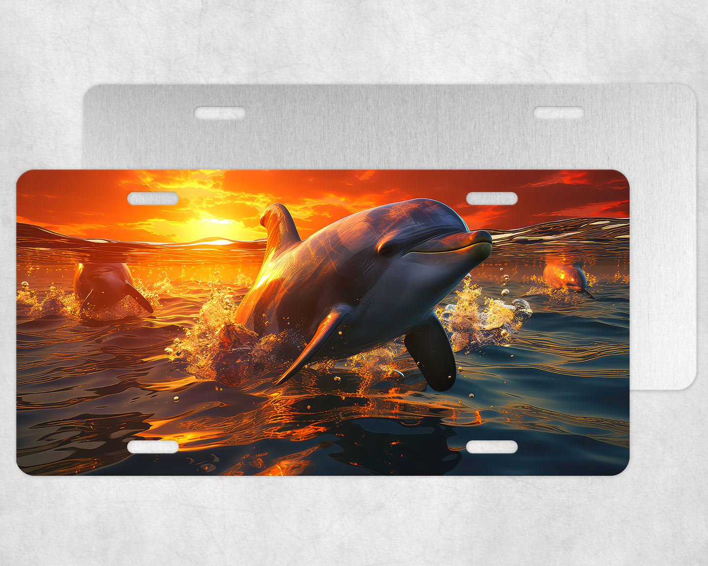 Dolphin 2 License Plate