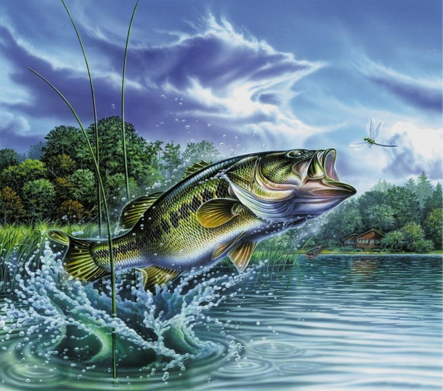 Black Bass