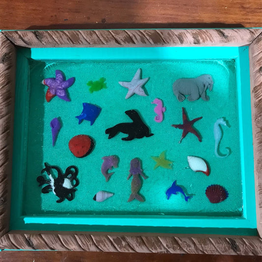 Sea Life